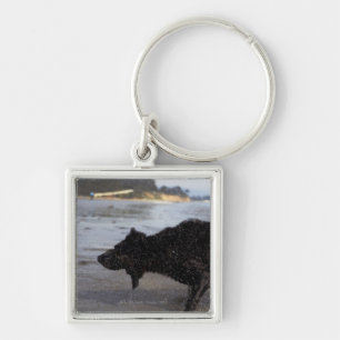 Santa Barbara, California, USA Key Ring