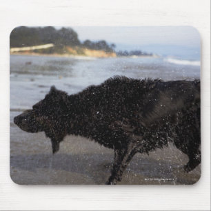 Santa Barbara, California, USA Mouse Mat