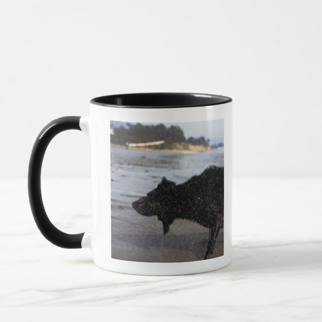 Santa Barbara, California, USA Mug (Left)