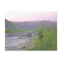 Santa Barbara Mesa View