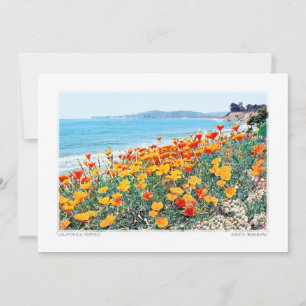 Santa Barbara Poppies Holiday Card