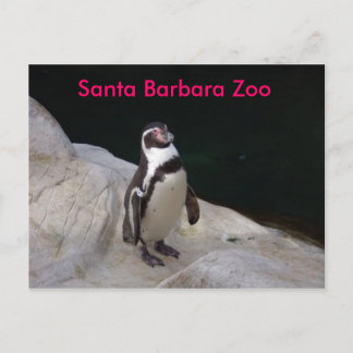 Santa Barbara Zoo Postcard