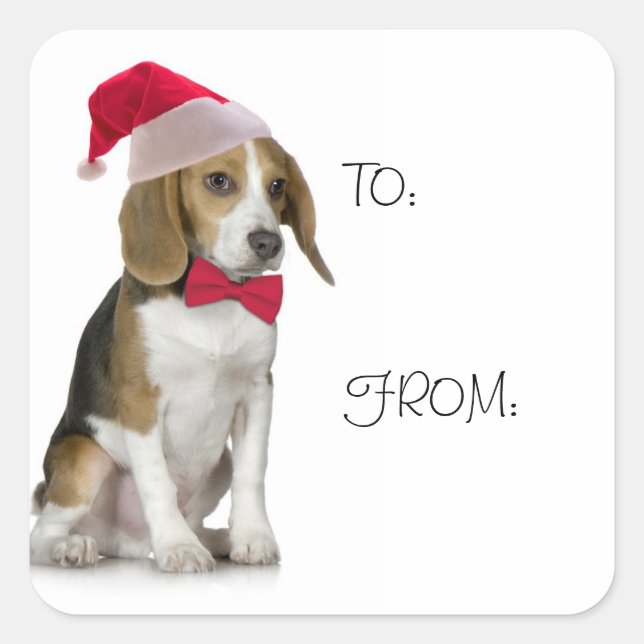 Santa Beagle Gift Stickers (Front)