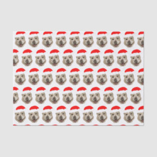 Santa Buddy Tissue Paper