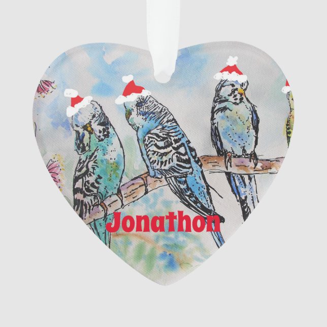 Santa Budgie Parrot Budgies Boys Name Ornament (Front)