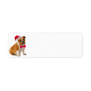 Santa Bulldog Return Address Label