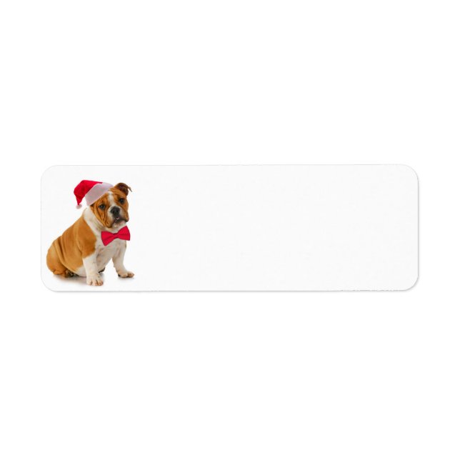 Santa Bulldog Return Address Label (Front)
