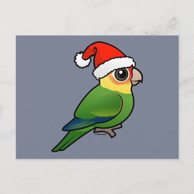 Santa Carolina Parakeet Holiday Postcard (Front)