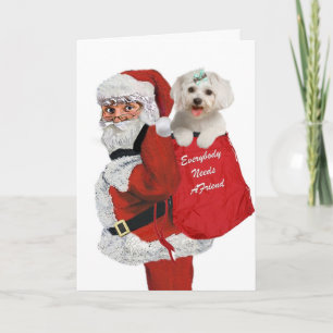 Santa Carries Maltese in His Bag of Gifts Holiday Card