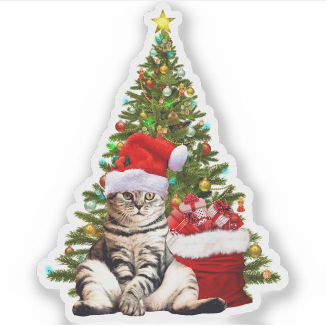 Santa Cat (Front)