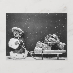 Santa Cat, a Santa Claus cat Postcard