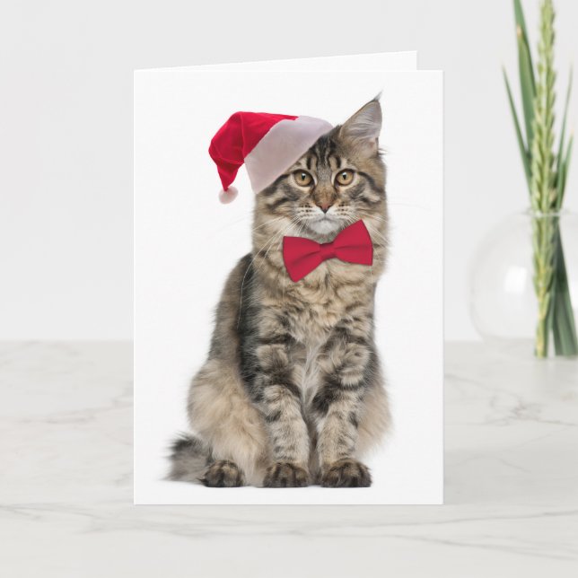Santa Cat Christmas Card (Front)
