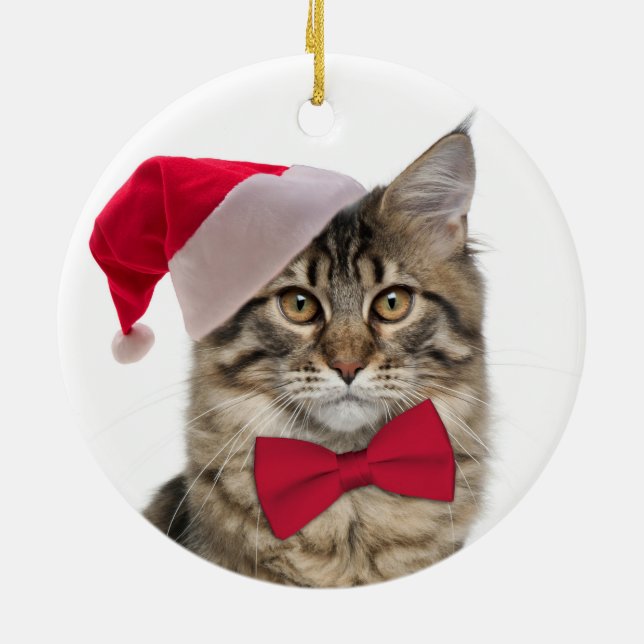 Santa Cat Christmas Ornament (Back)