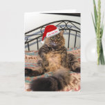 Santa Cat Gets Cookies Christmas Card<br><div class="desc">This wonderful Christmas card shows our very large Siberian cat named Kimber. Kimber is wearing a Santa hat. In the process of grooming himself, Kimber is half sitting up and half laying down with his big feet sticking up and his long fluffy tail stretched out before him. The message inside...</div>