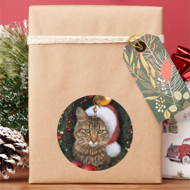 Santa Cat Gift Tag (Holiday)