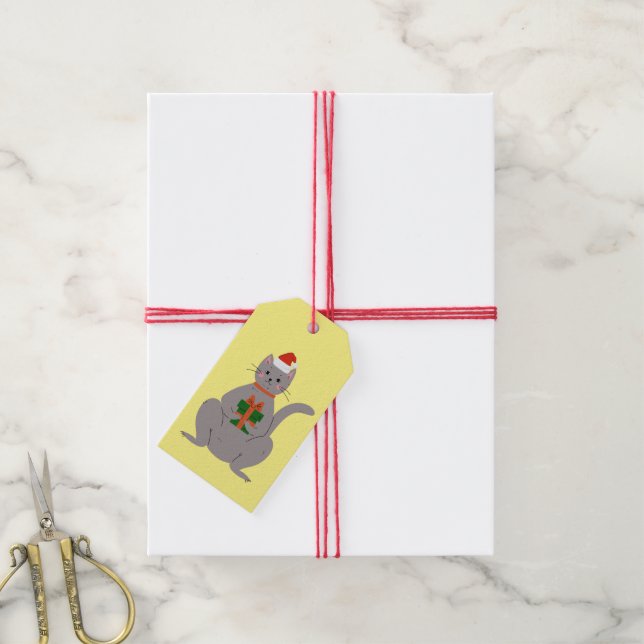 Santa Cat Gift Tags (With Twine)