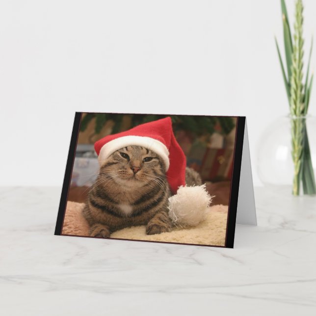 Santa Cat Greeting Card (Front)