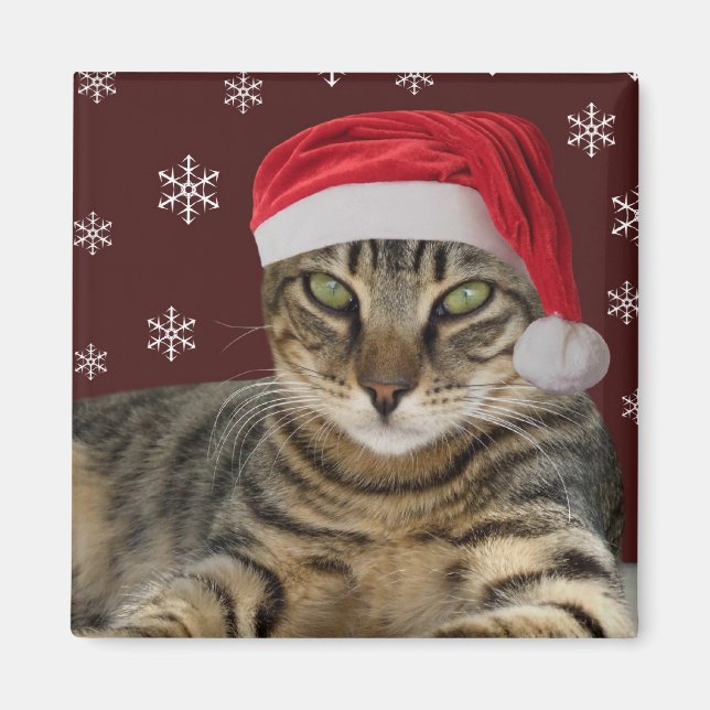 Santa Cat Magnet (Front)