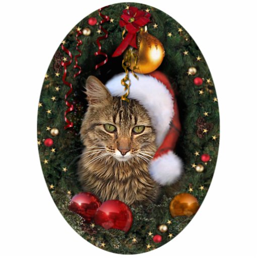 Santa Cat Photo Sculptures | Zazzle