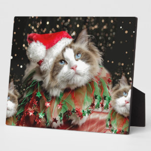 Santa Cat Plaque