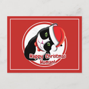 Santa Cat Postcard