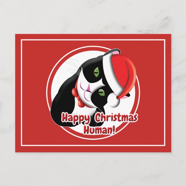 Santa Cat Postcard (Front)