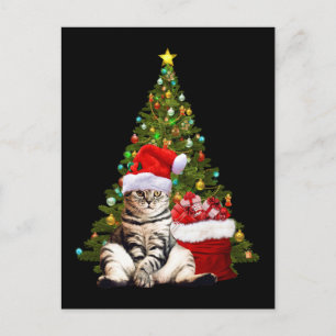 Santa Cat Postcard