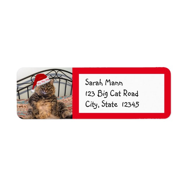Santa Cat Return Address Labels (Front)