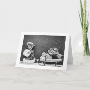 Santa Cat Still Image (1914) Christmas Holiday Card