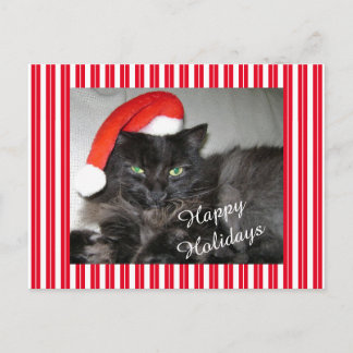 Santa Cat Striped Christmas Postcard