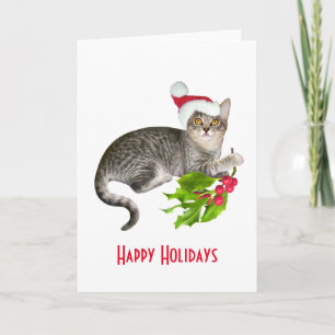 Santa Cat with Holly Holiday Card