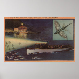 Santa Catalina Island, CA Casino, Flying Fish Poster
