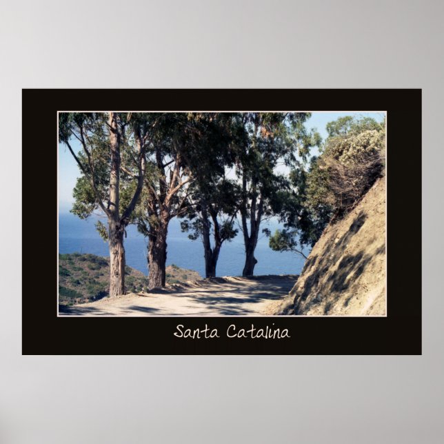 Santa Catalina Poster (Front)