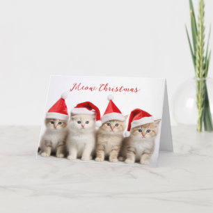 Santa Cats   Card