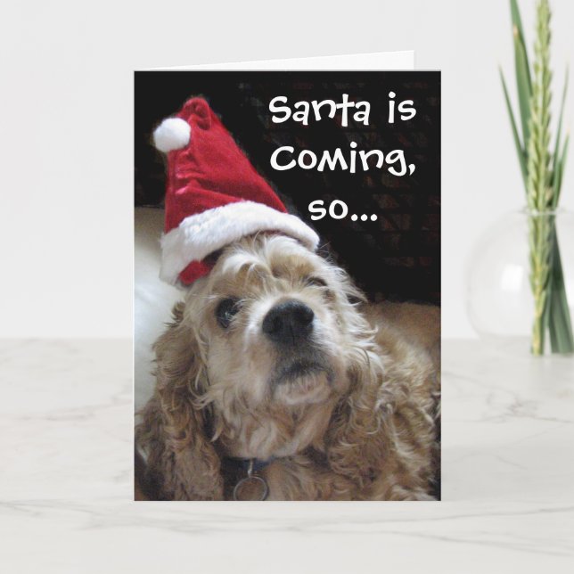 Santa Chance Dog Holiday Card (Front)
