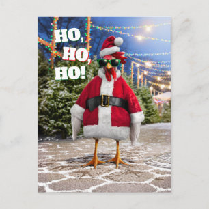 Santa Chicken Invitation Postcard