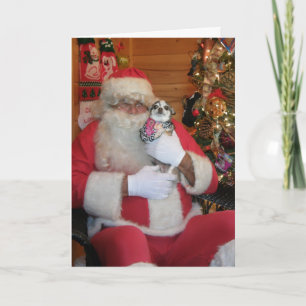 Santa & Chihuahua Holiday Card