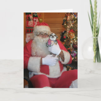 Santa & Chihuahua Holiday Card