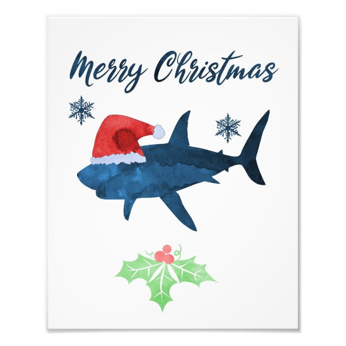 Santa Christmas Shark Photo Print | Zazzle.co.uk