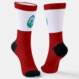 Santa Clarita (California) city flag Socks