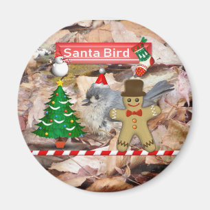 Santa Claus Birding Magnet