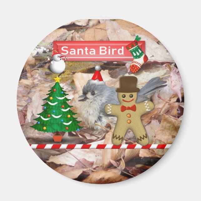 Santa Claus Birding Magnet (Front)