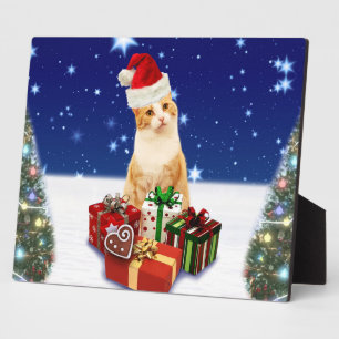 Santa Claus Cat with Christmas Gift Plaque