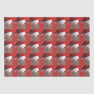 Santa Claus Christmas Horse Tissue Paper