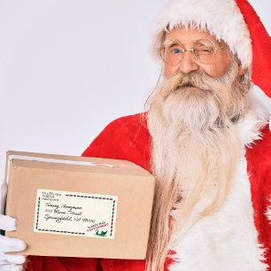 Santa Claus Christmas Sleigh Mail