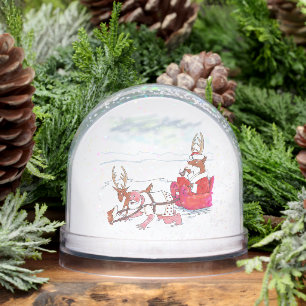 Santa Claus Coup snow globe
