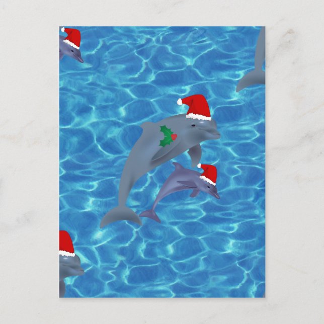 santa claus dolphins holiday postcard (Front)