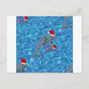 santa claus dolphins holiday postcard
