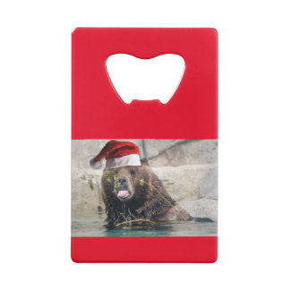 Santa Claus Grizzly Bear