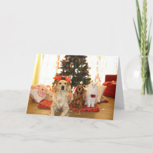 Santa Claus & Pets Holiday Card